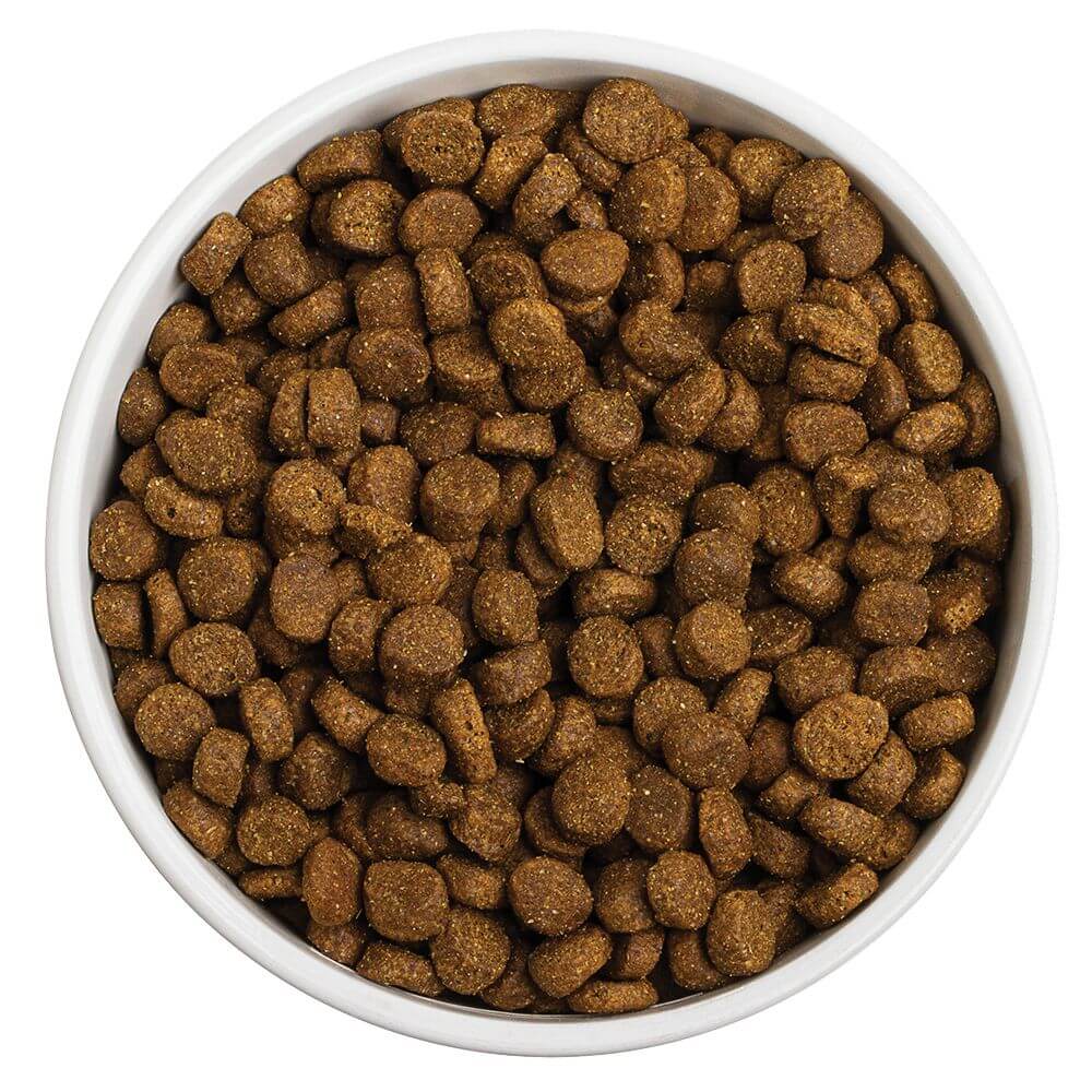 First-Five Kibble Grain-Free Puppy Beef & Lamb Recipe
