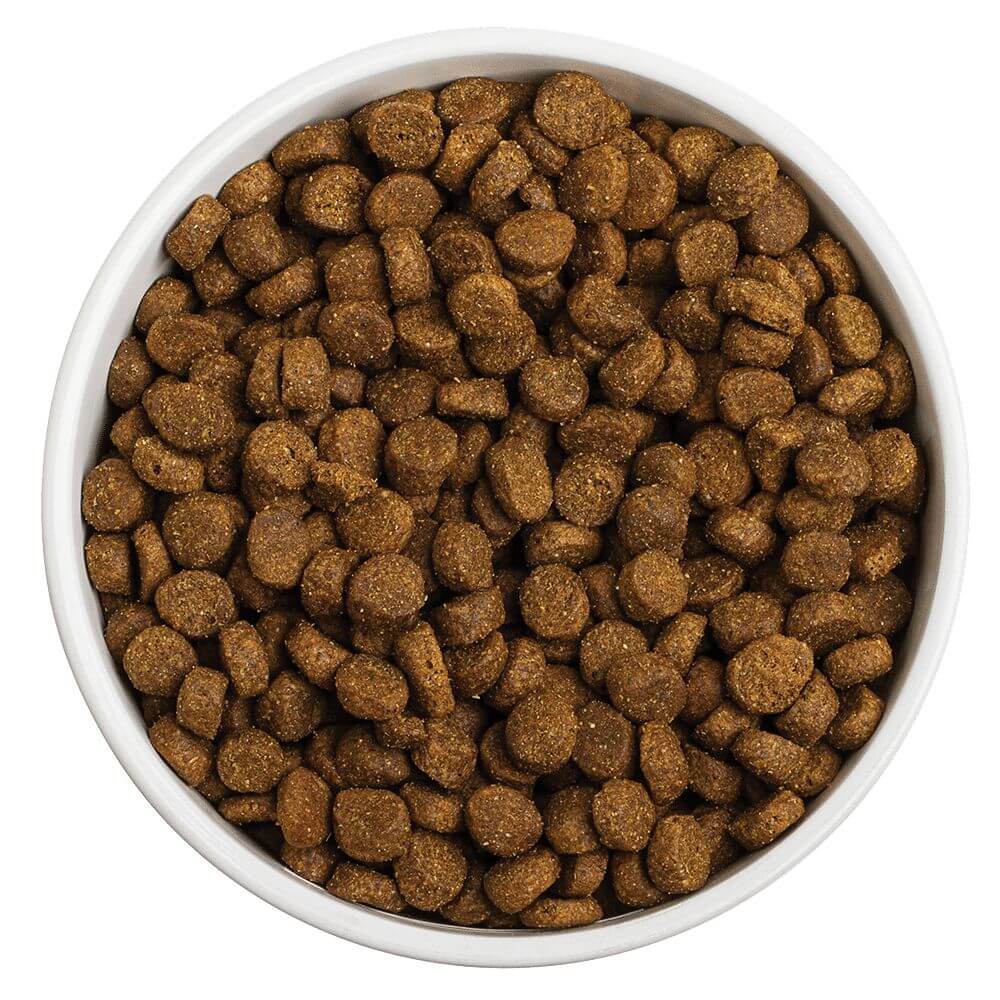 First-Five Kibble Grain-Free Ocean Recipe