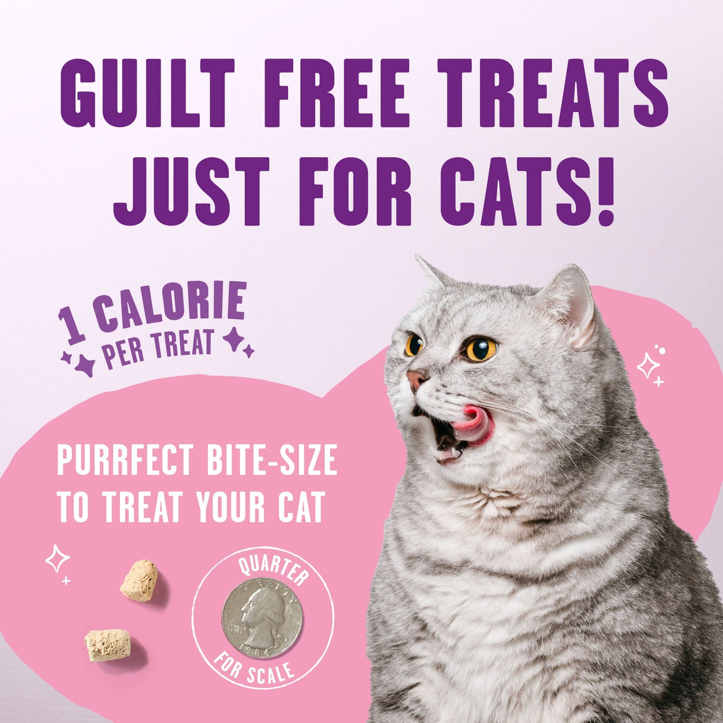 Meowfulls Whitefish & Salmon Cat Treats Promo