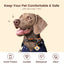 PawView Silent Silicone Smart Pet ID Tag – Dog-shaped, QR Code & NFC
