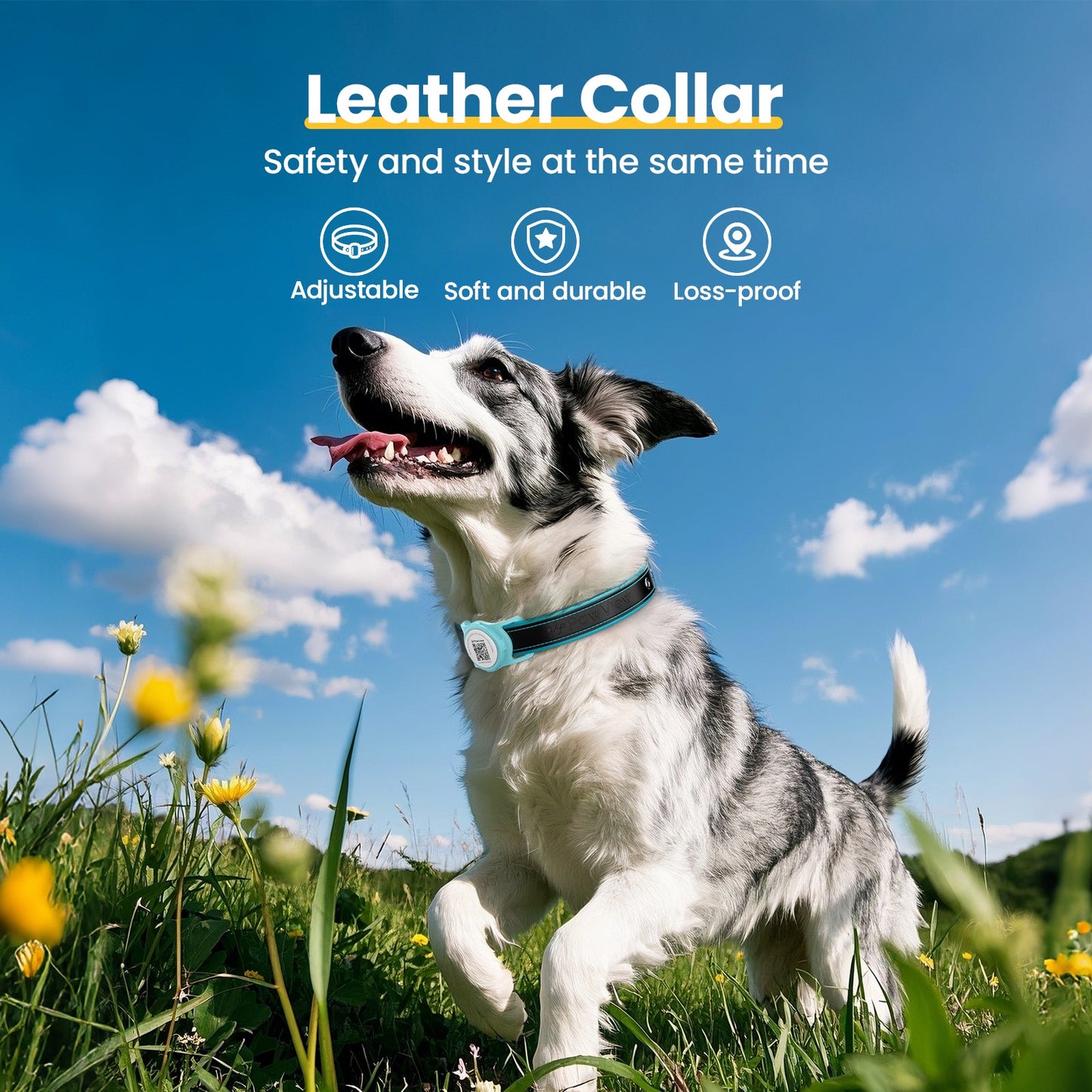 PawView Genuine Leather Collection Dog Collar with Smart AirTag Holder