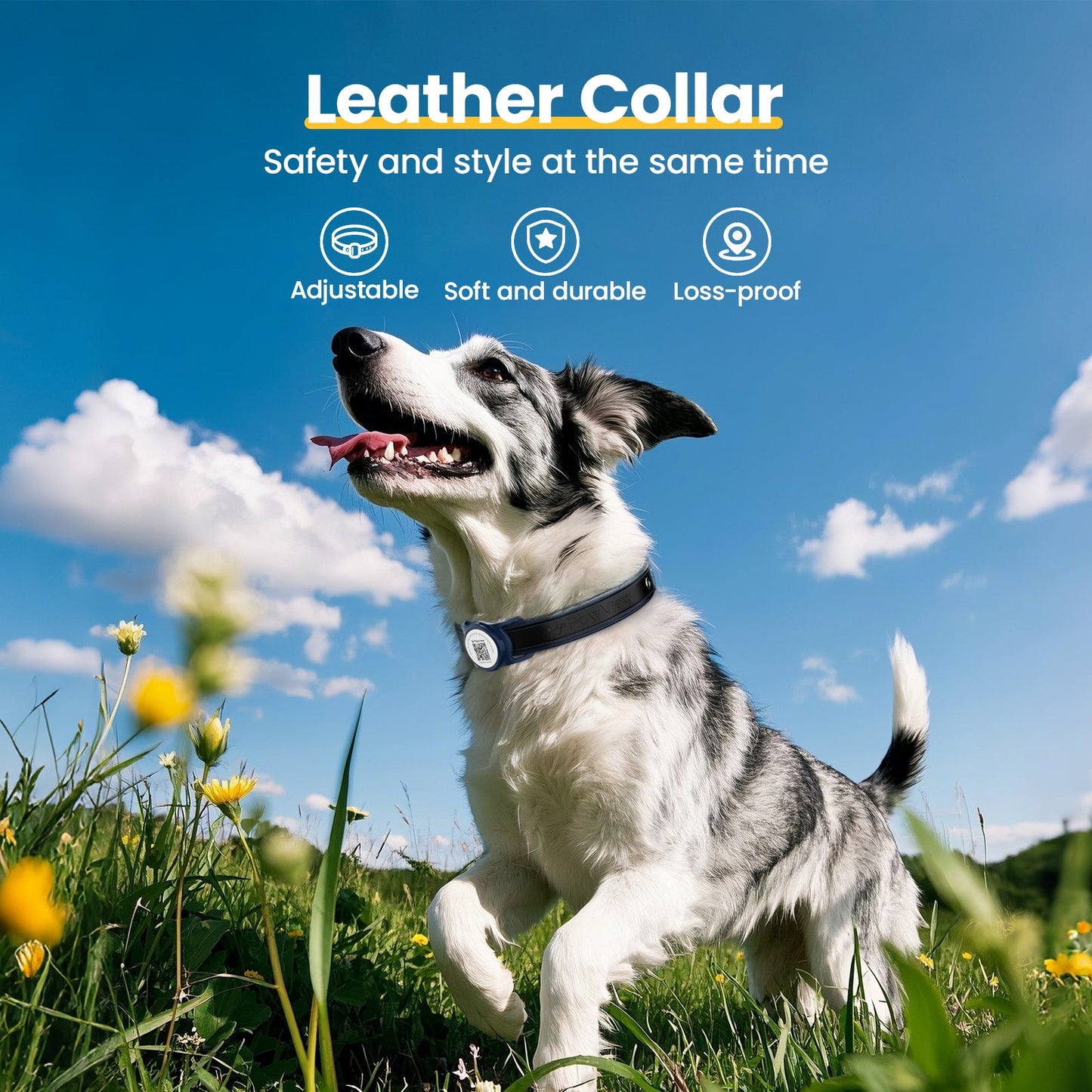 PawView Genuine Leather Collection Dog Collar with Smart AirTag Holder