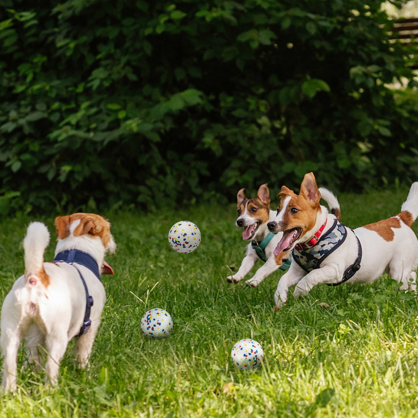 Water-floating E-TPU Dog Ball |Durable, Dental-Safe, and Versatile Pet Toy for Chewers