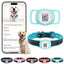 PawView Genuine Leather Collection Dog Collar with Smart AirTag Holder