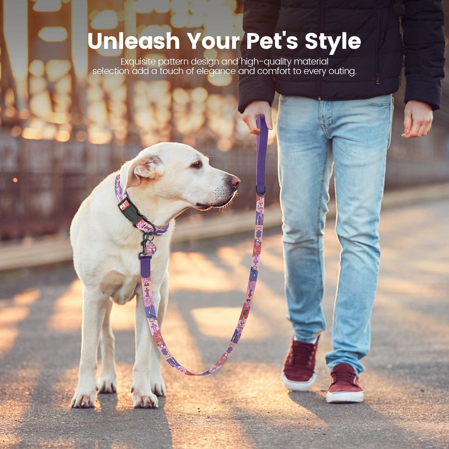 PawView Time Series Dog Collar & Leash with QR ID Tag – Sunset Design