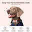 PawView Silent Silicone Smart Pet ID Tag – Bow Tie Style, QR Code & NFC