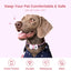 PawView Silent Silicone Smart Pet ID Tag – Bow Tie Style, QR Code & NFC