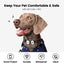 PawView Silent Silicone Smart Pet ID Tag – Bow Tie Style, QR Code & NFC