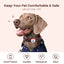 PawView Anti-Loss Smart Pet ID Tag with QR Code Heart