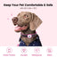 PawView Anti-Loss Smart Pet ID Tag with QR Code Heart