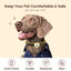 PawView Anti-Loss Smart Pet ID Tag with QR Code Heart