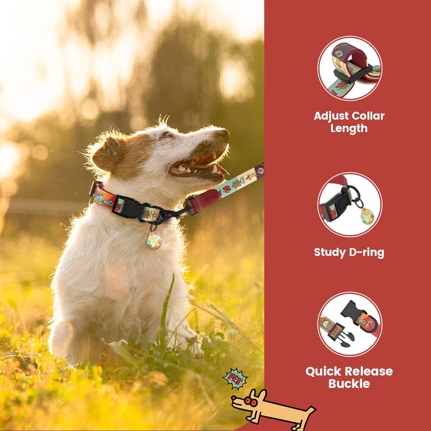 PawView Time Series Dog Collar & Leash with QR ID Tag – Sunrise Design