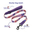 PawView Time Series Dog Collar & Leash with QR ID Tag – Sunset Design
