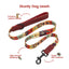 PawView Time Series Dog Collar & Leash with QR ID Tag – Sunrise Design