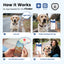 PawView Anti-Loss Smart Pet ID Tag with QR Code Heart