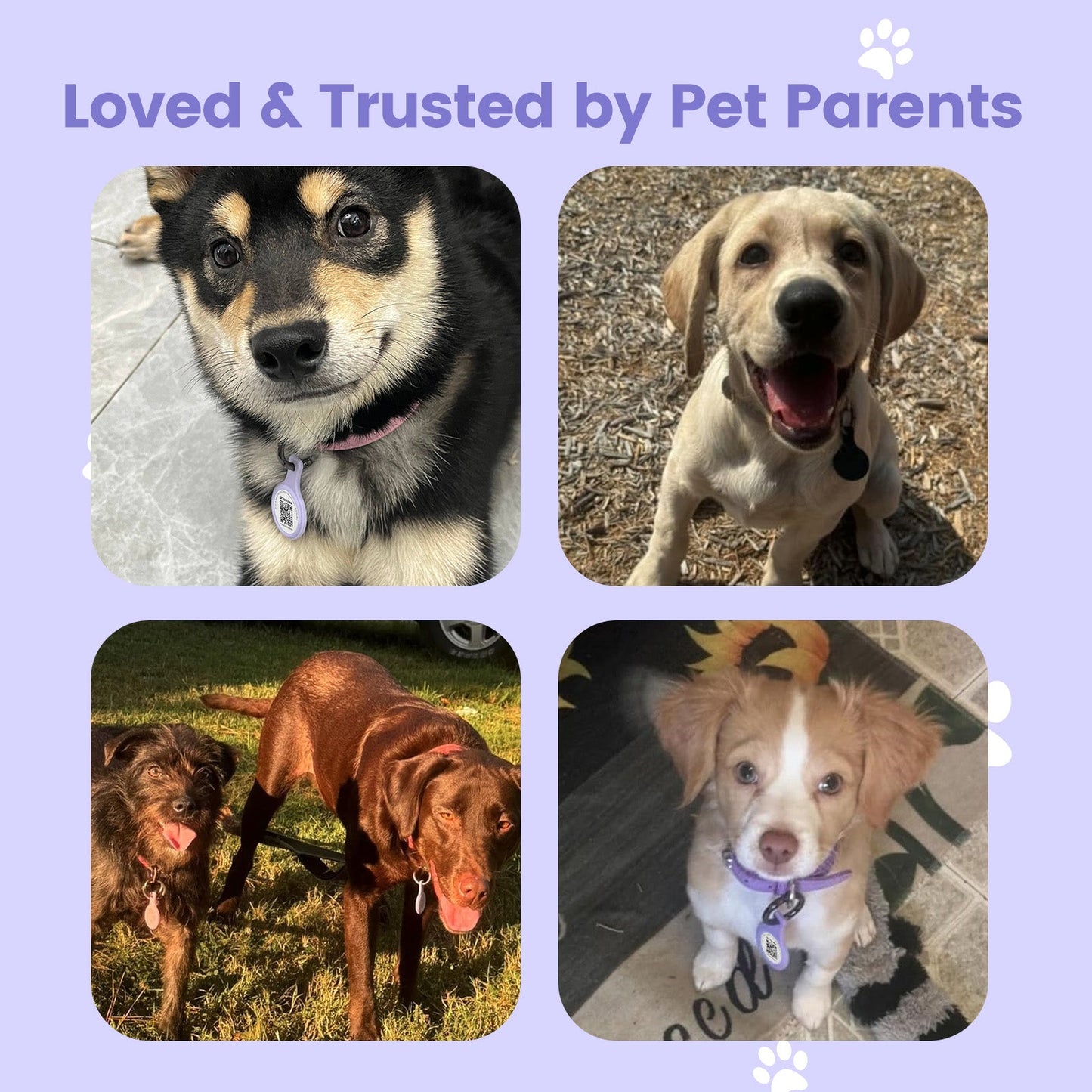 Anti-Loss NFC & QR Code Pet ID Tag, Smart Silent Silicone Pet Tag for Dog and Cat