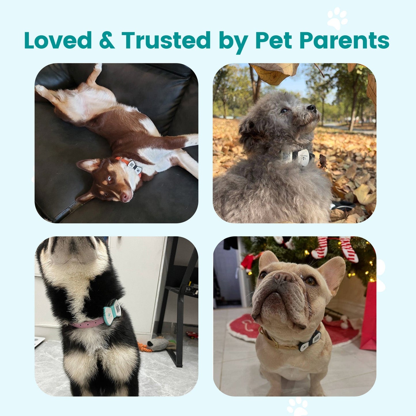 PawView Silent Silicone Smart Pet ID Tag – Bow Tie Style, QR Code & NFC