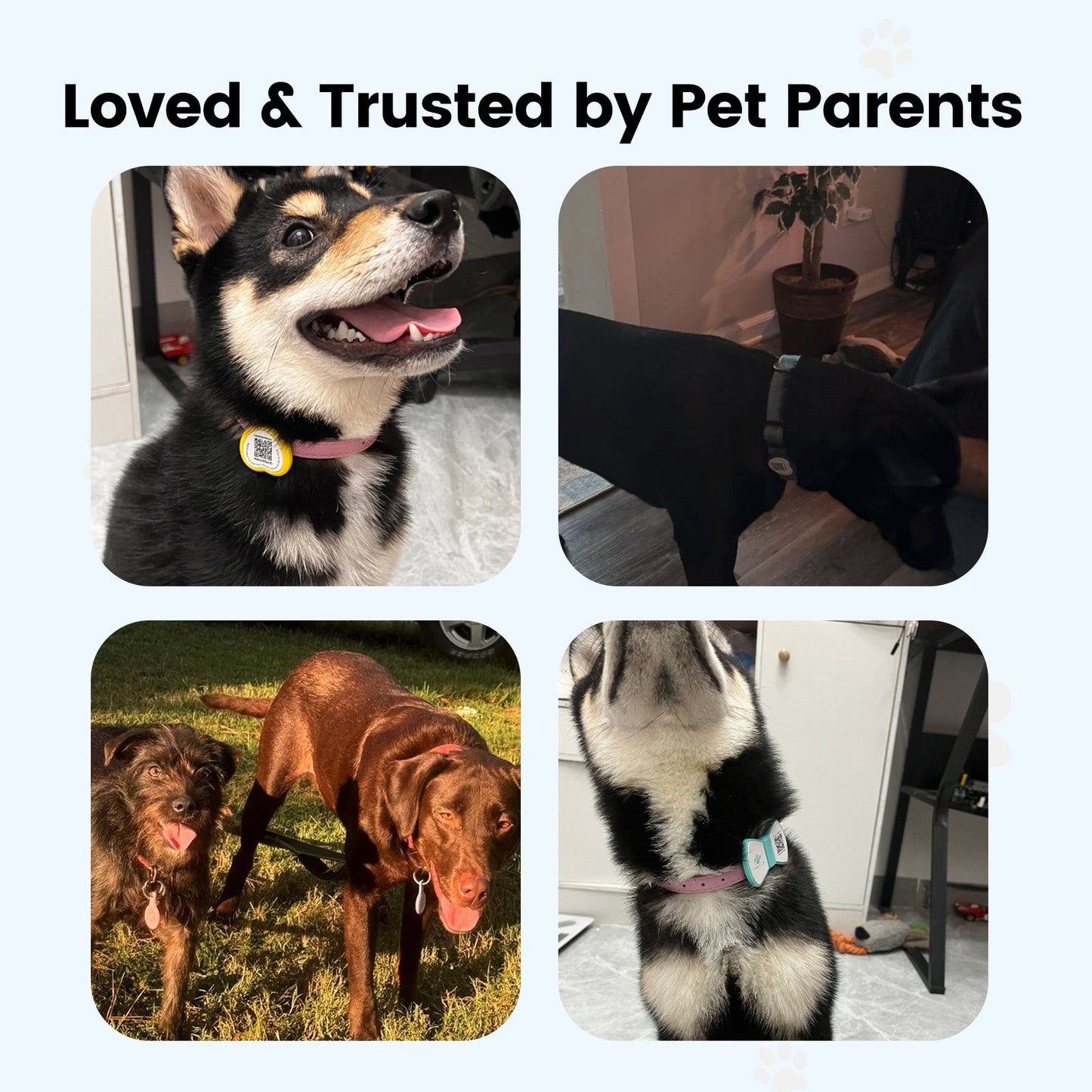 PawView Anti-Loss Smart Pet ID Tag with QR Code Heart