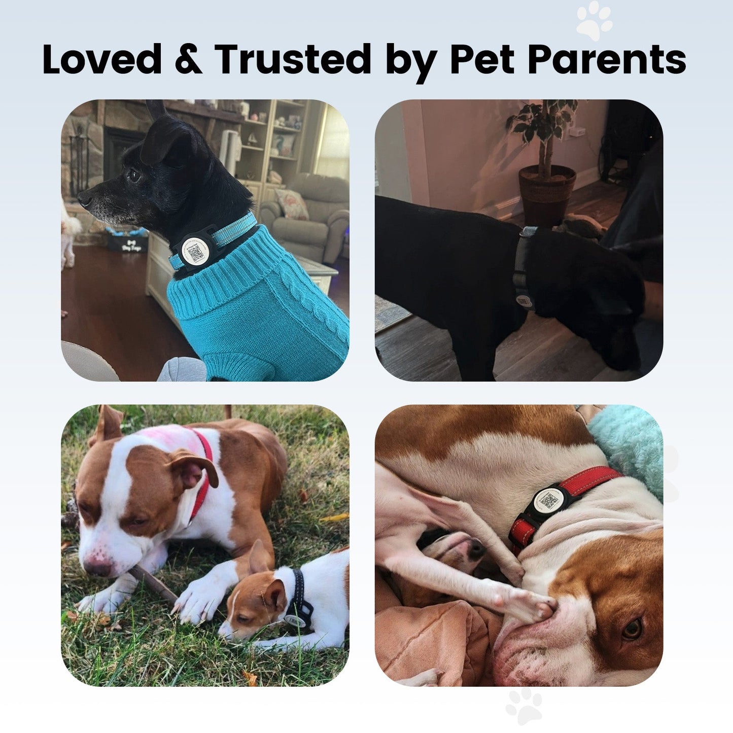 PawView TN005 AirTag Silicone Anti-Loss Protective Case