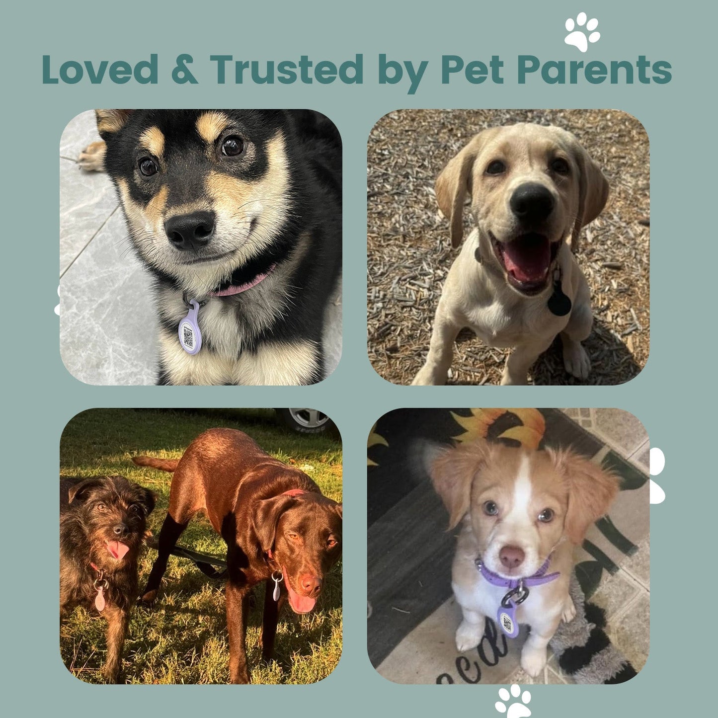 Anti-Loss NFC & QR Code Pet ID Tag, Smart Silent Silicone Pet Tag for Dog and Cat