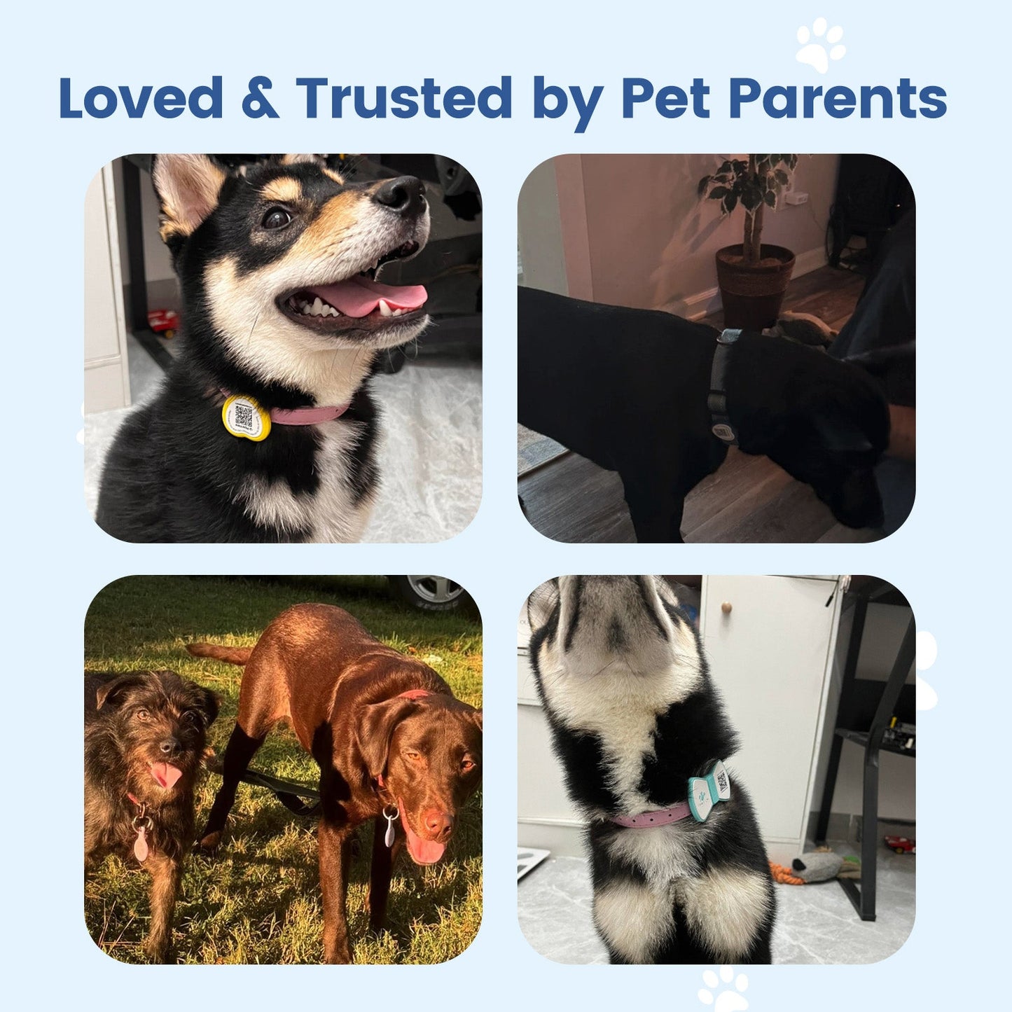 PawView Anti-Loss Smart Pet ID Tag with QR Code Heart