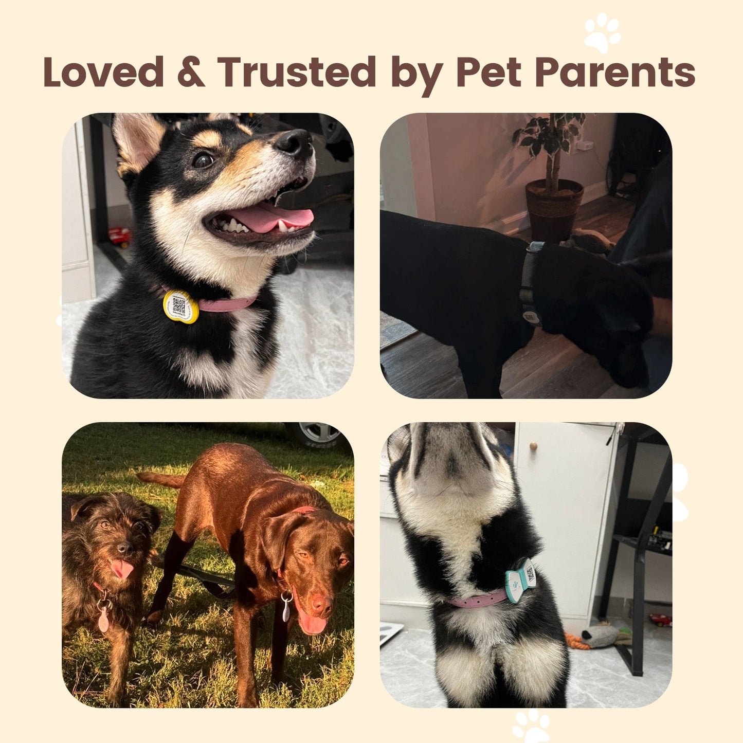 PawView Anti-Loss Smart Pet ID Tag with QR Code Heart