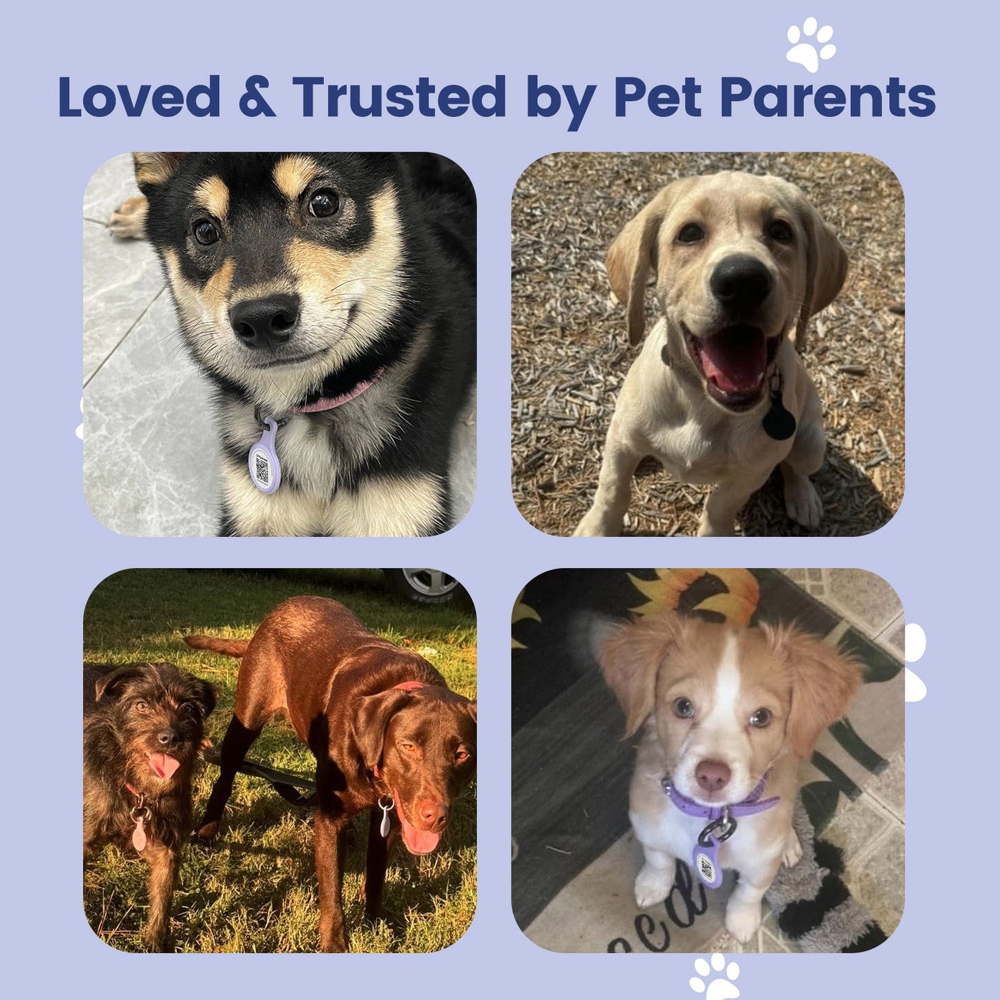 Anti-Loss NFC & QR Code Pet ID Tag, Smart Silent Silicone Pet Tag for Dog and Cat