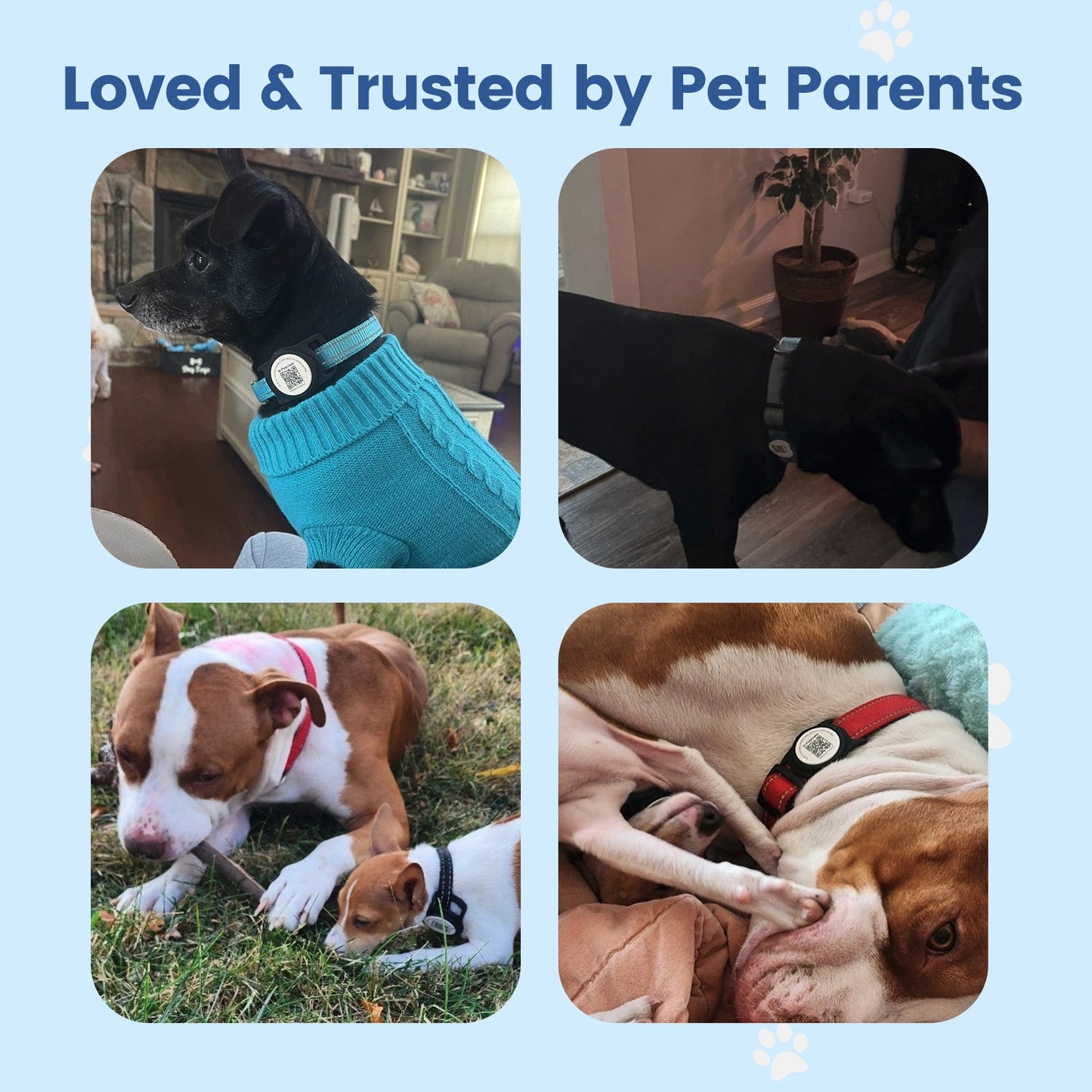 PawView TN005 AirTag Silicone Anti-Loss Protective Case