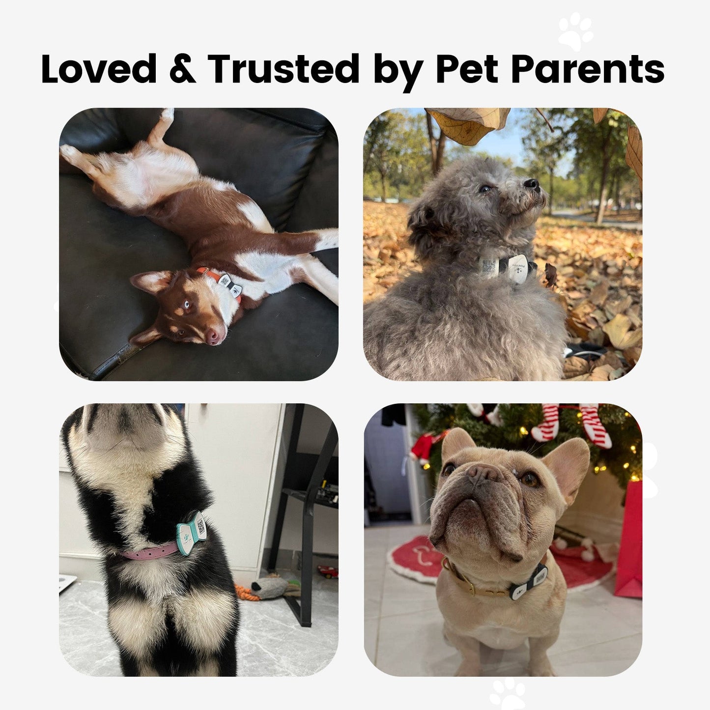 PawView Silent Silicone Smart Pet ID Tag – Bow Tie Style, QR Code & NFC