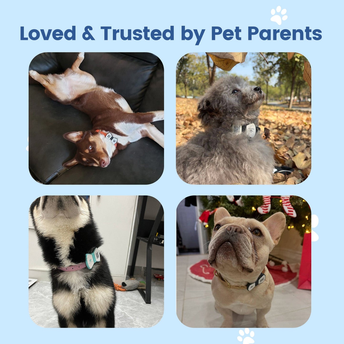 PawView Silent Silicone Smart Pet ID Tag – Bow Tie Style, QR Code & NFC