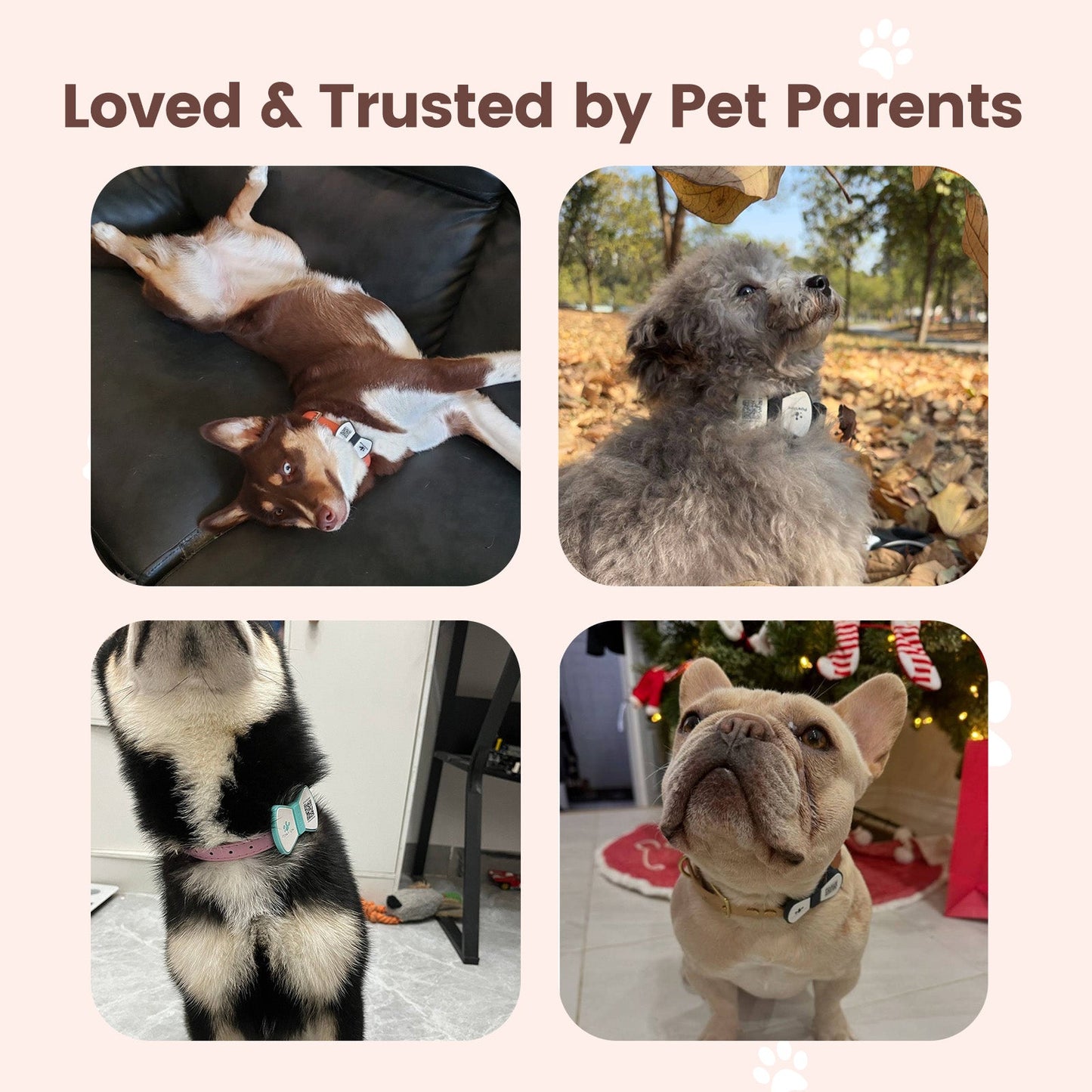 PawView Silent Silicone Smart Pet ID Tag – Bow Tie Style, QR Code & NFC