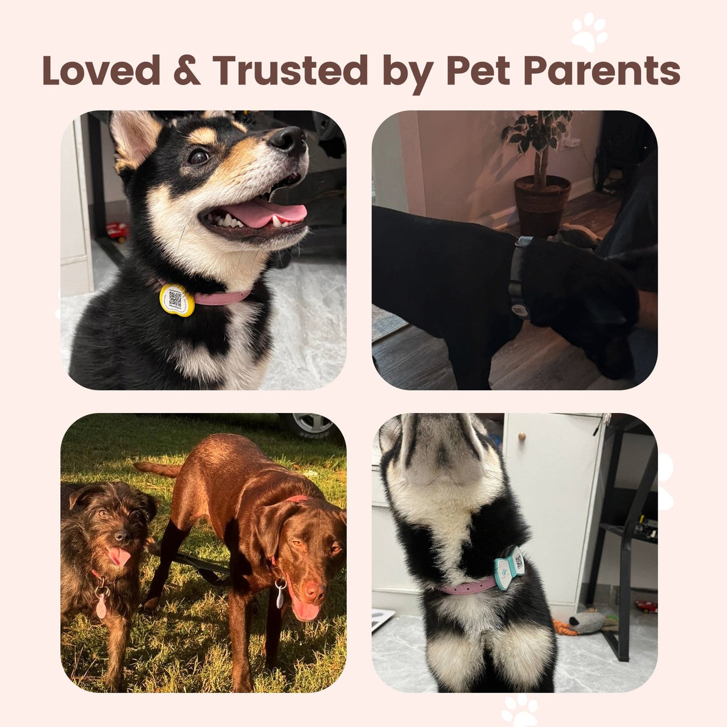 PawView Anti-Loss Smart Pet ID Tag with QR Code Heart