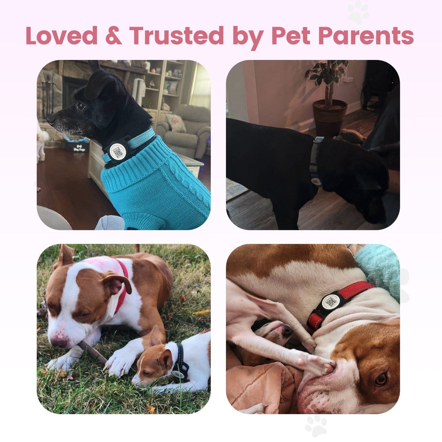 PawView TN005 AirTag Silicone Anti-Loss Protective Case