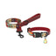 PawView Time Series Dog Collar & Leash with QR ID Tag – Sunrise Design