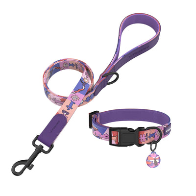 PawView Time Series Dog Collar & Leash with QR ID Tag – Sunset Design