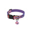 PawView Time Series Dog Collar with QR ID Tag – Sunset Design