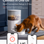 HomerunPET Smart Pet Feeders