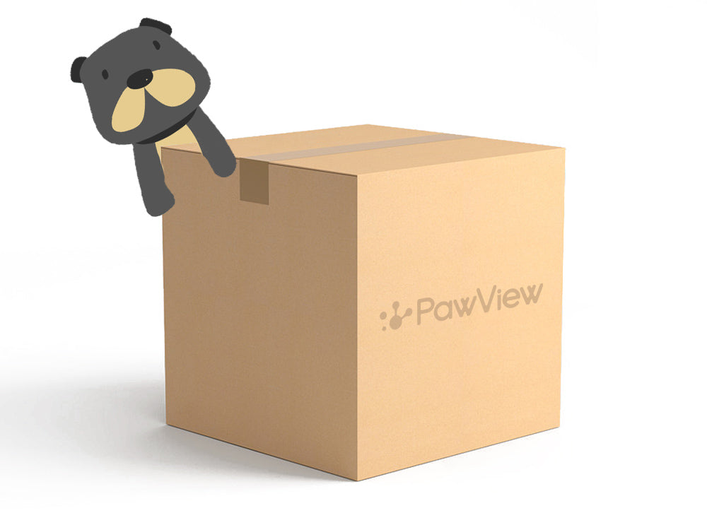 PawView Subscription Box: Tailored Treats and Toys for Your Furry Friend's Delight