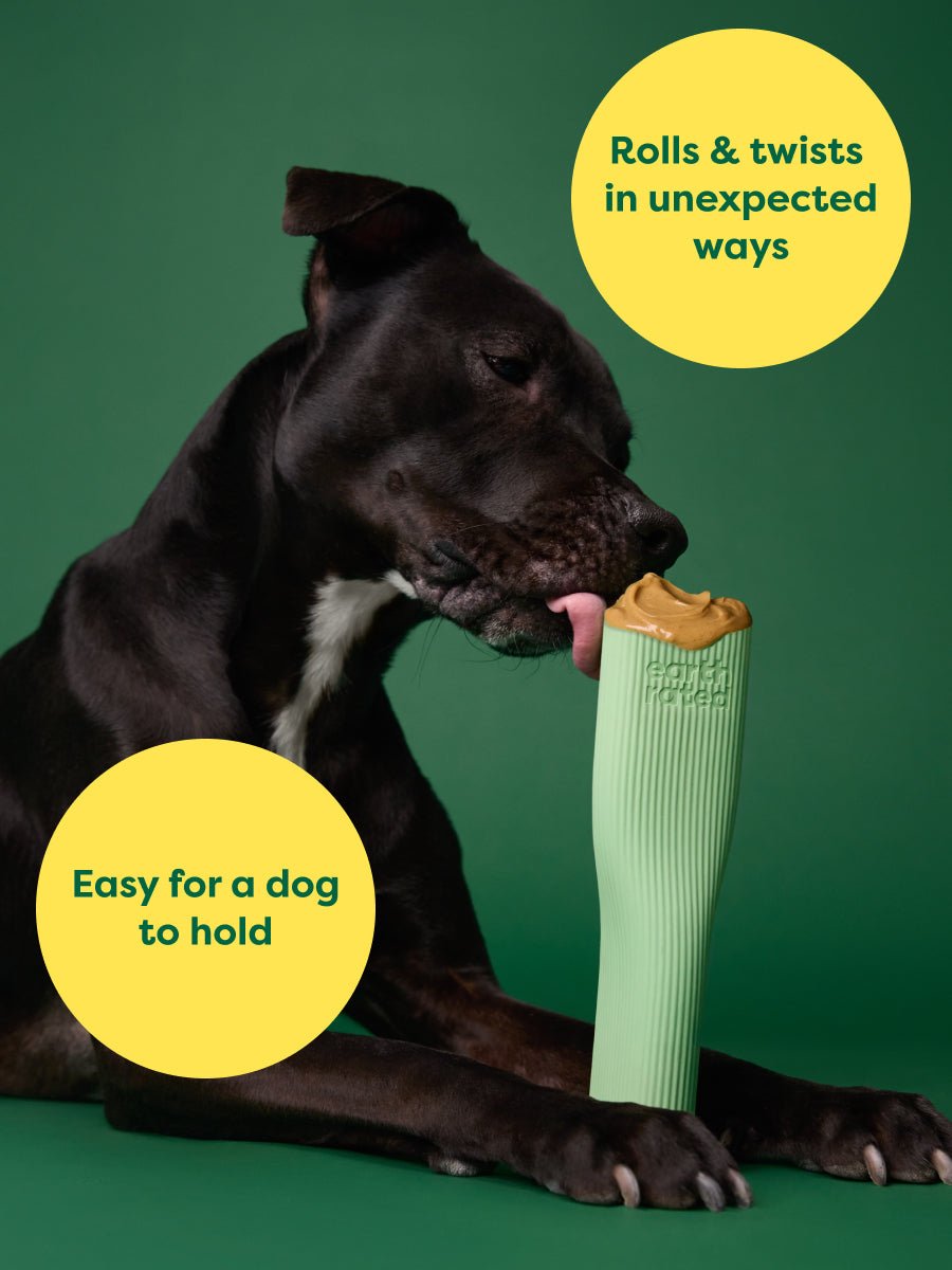 Enrichment Toy