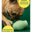 Treat Toy