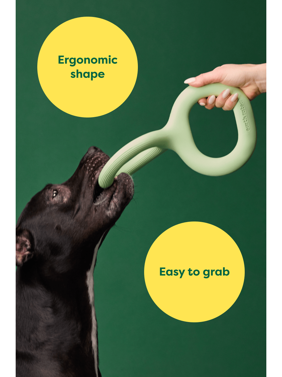 Tug Toy