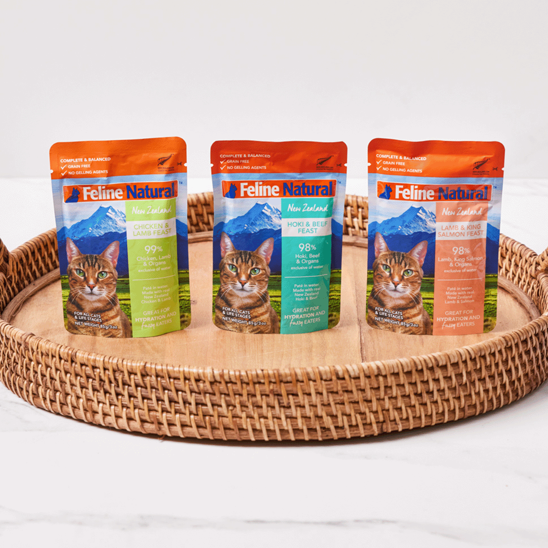 Feline Variety Box Pouch Cat Food