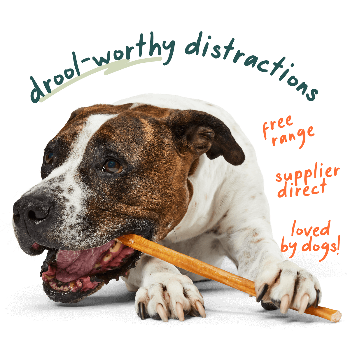 Free Bully Sticks