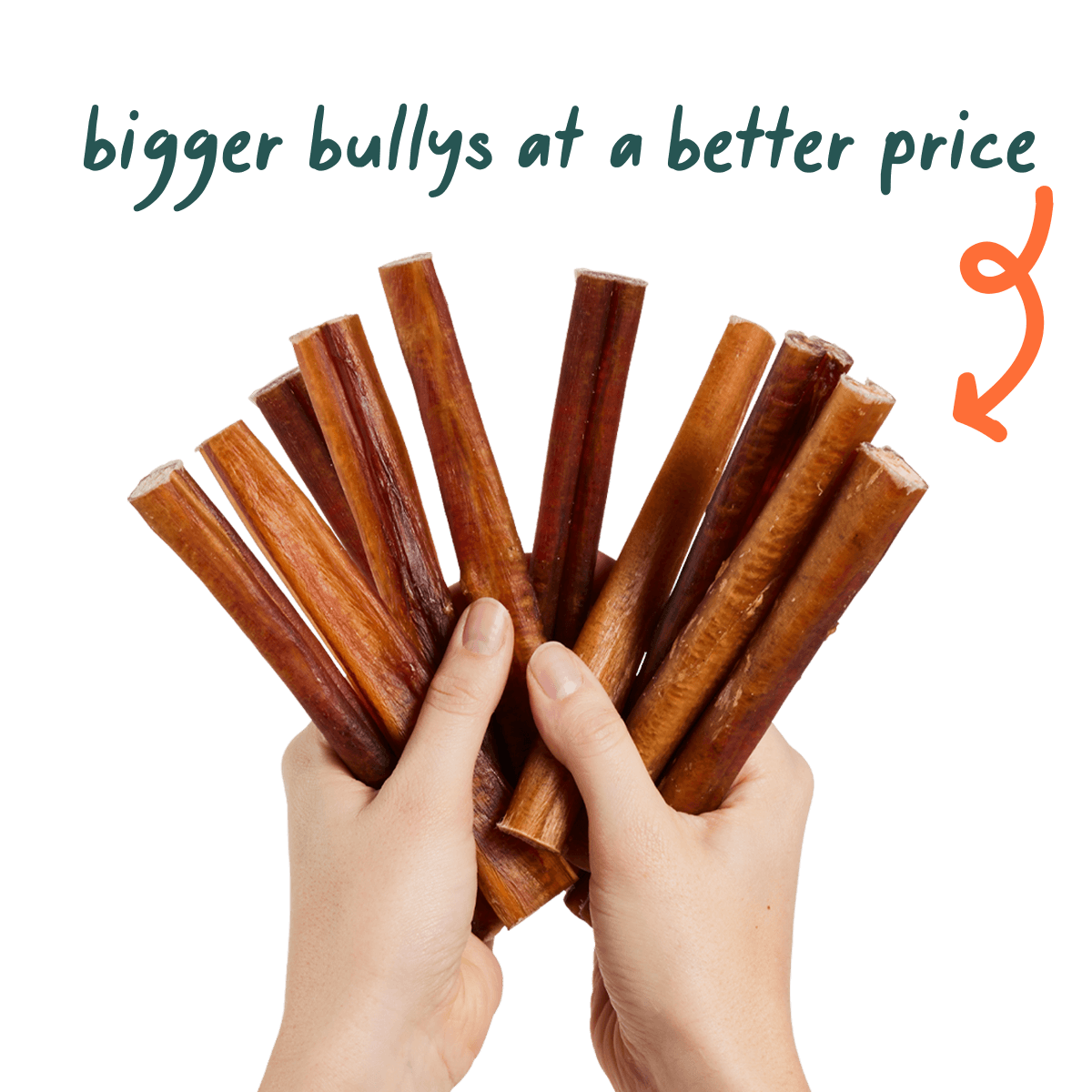 Free Bully Sticks