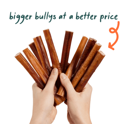 Free Bully Sticks
