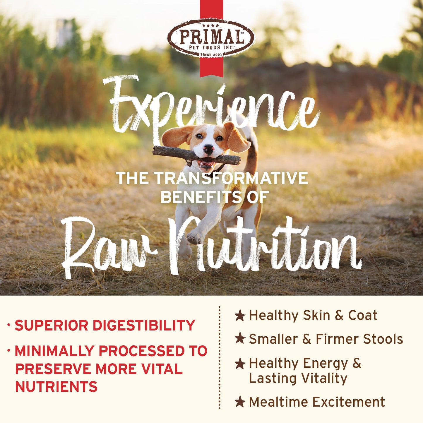 PrimalPetFood Freeze-Dried Raw Nuggets Dog Food - Rabbit Recipe