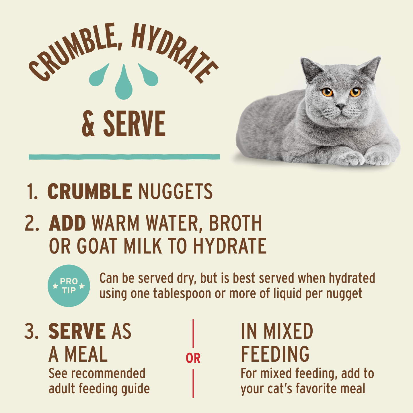PrimalPetFood Freeze-Dried Raw Nuggets Cat Food - Turkey Recipe