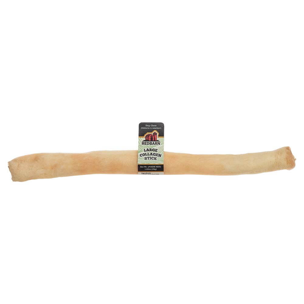 Chew Time Bundle