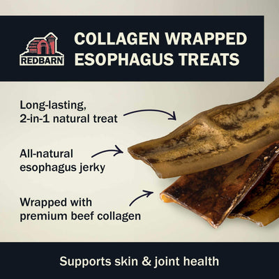 New! Collagen Wrapped Esophagus Slice