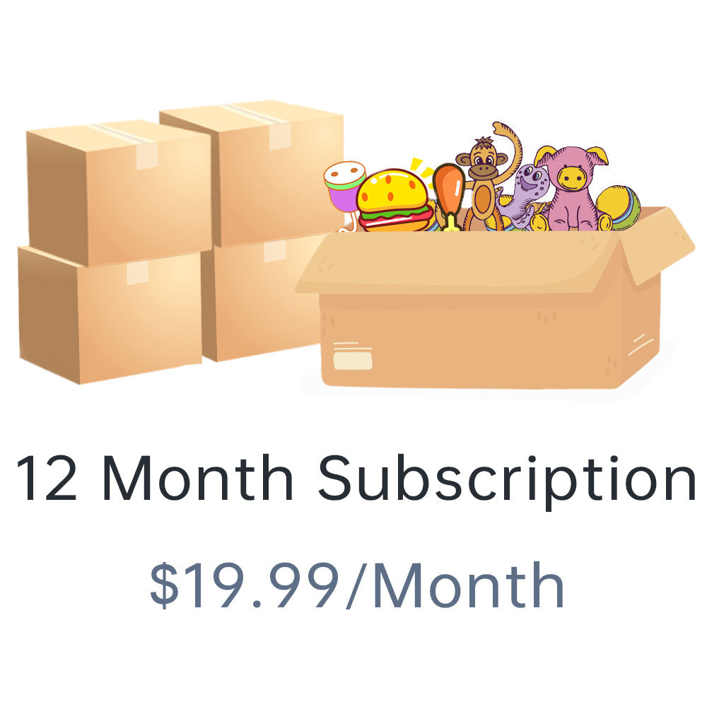 PawView Subscription Box: Tailored Treats and Toys for Your Furry Friend's Delight